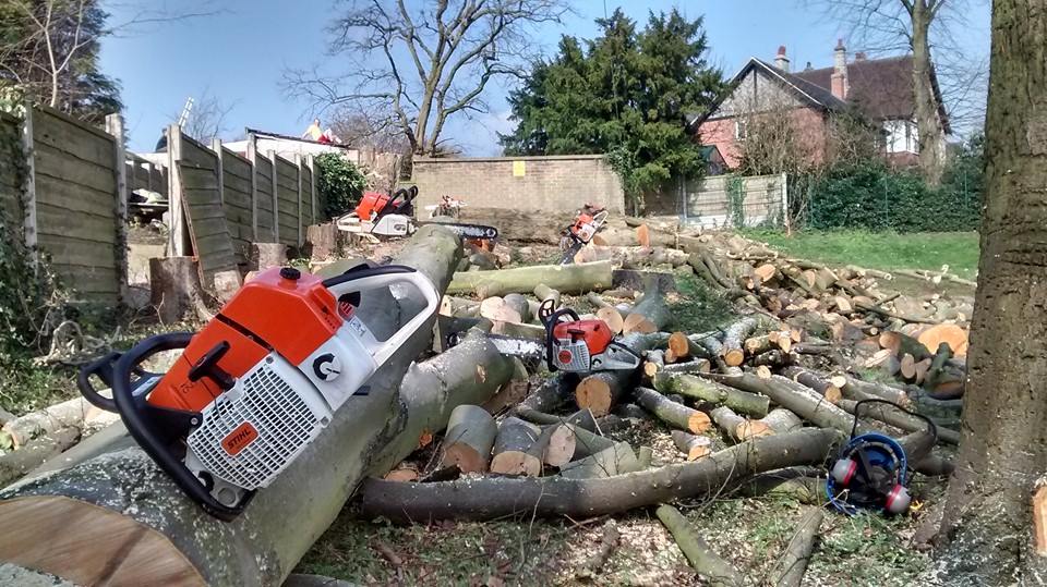 Full Tree Removal & Site Clearances